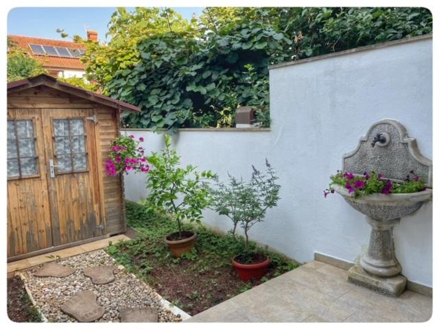 Apartman Sorgo Zambratija (Istria) Exterior foto